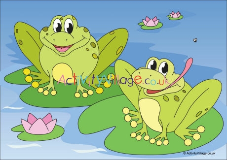 Frogs scene poster