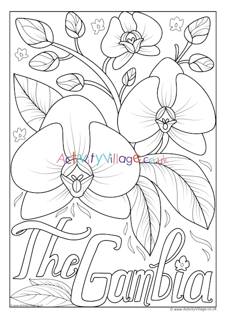 Gambia National Flower Colouring Page