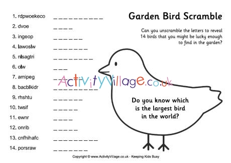 Garden bird scramble