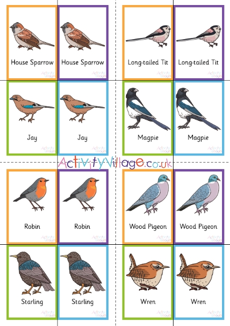 Garden Birds Snap Pairs Cards
