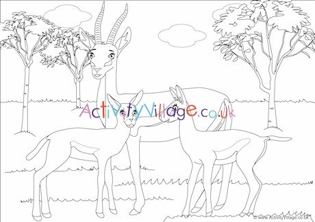Gazelles Scene Colouring Page