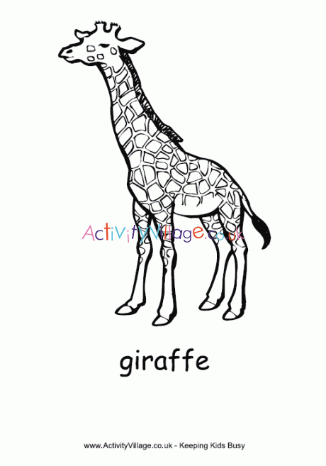 Giraffe colouring page
