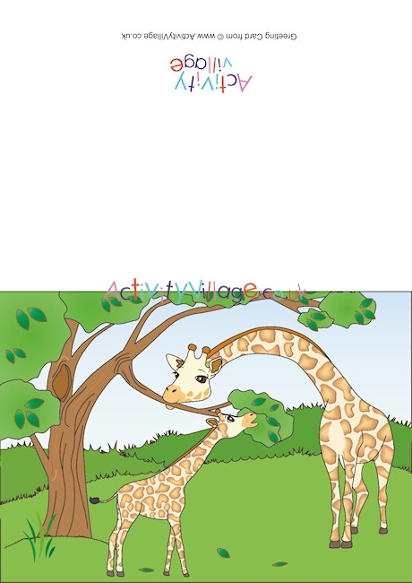 Giraffes Scene Card