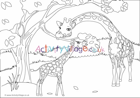 Giraffes Scene Colouring Page