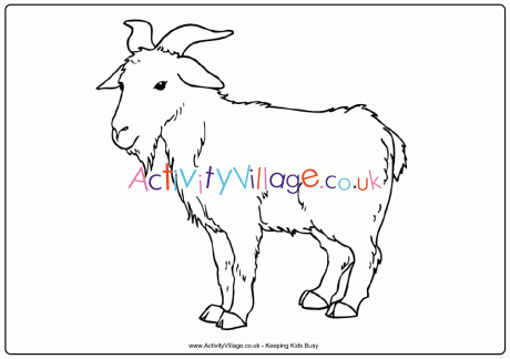 Goat colouring page 3