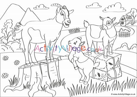 Goats Scene Colouring Page