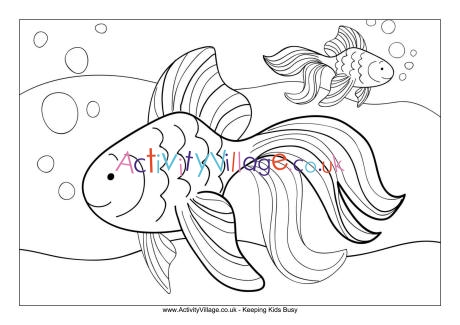 Goldfish colouring page