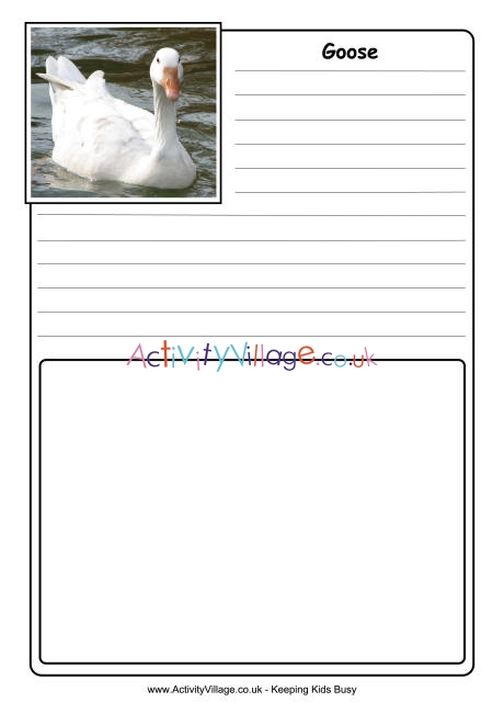 Goose notebooking page