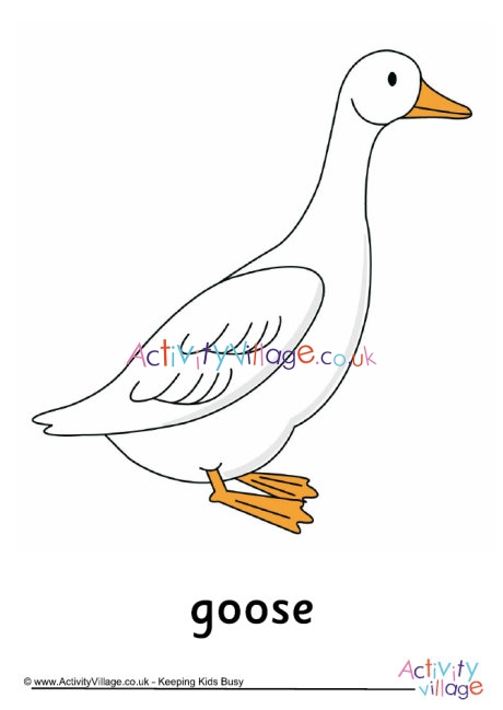 Goose poster 1