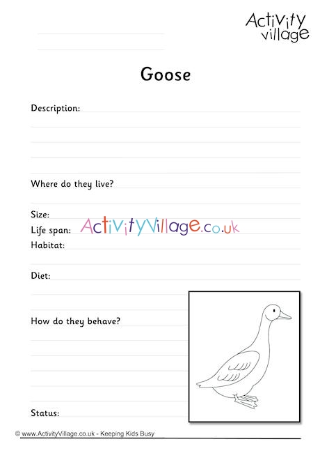 Goose Worksheet