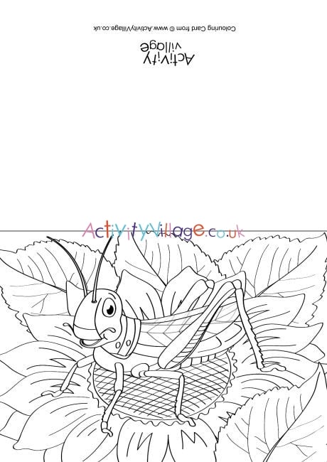 Grasshopper Scene Colouring Card