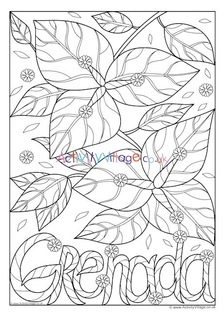 Grenada national flower colouring page