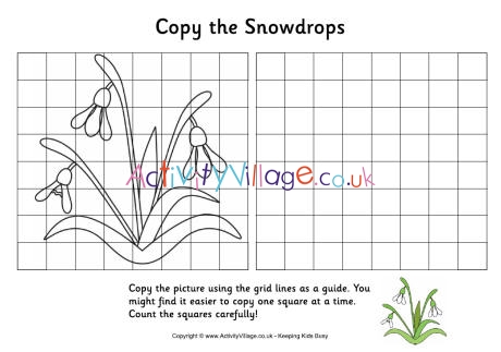 Grid copy snowdrops