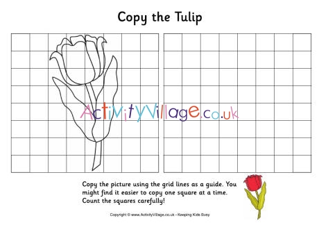 Grid copy - tulip