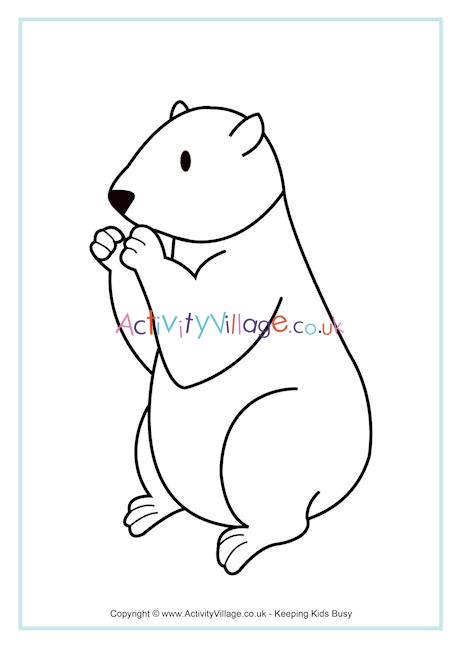 Groundhog colouring page