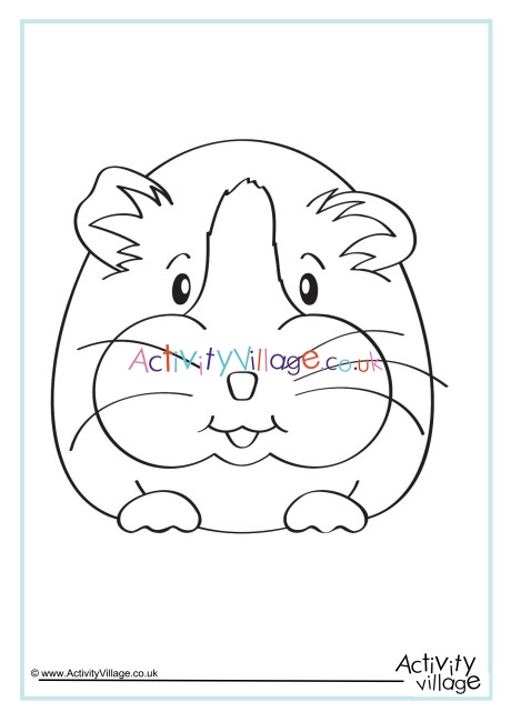 Guinea Pig Colouring Page 1