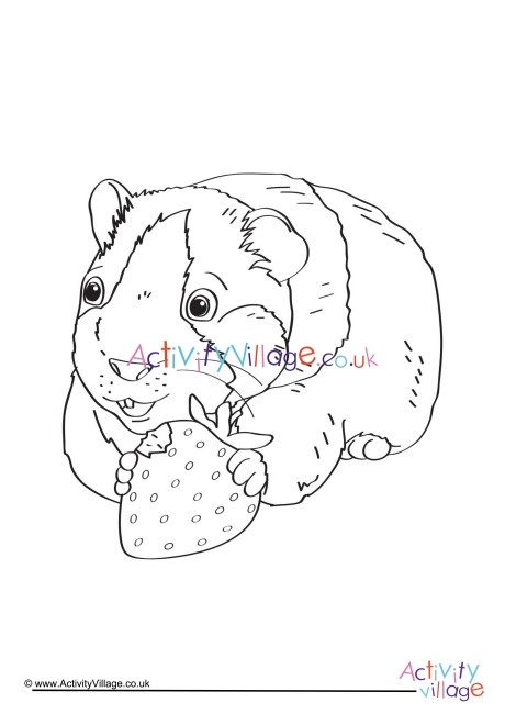 Guinea Pig Colouring Page 3