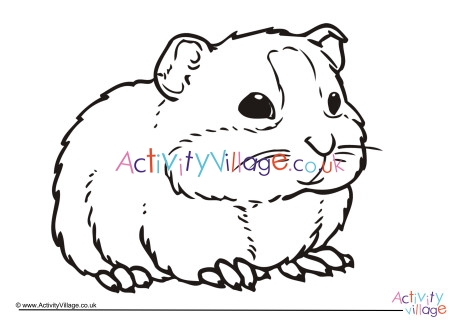 Guinea Pig Colouring Page 4