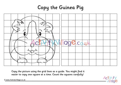 Guinea Pig Grid Copy