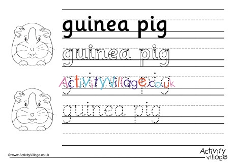 Guinea Pig Handwriting Worksheet