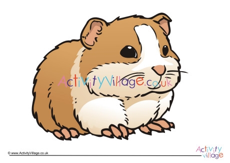 Guinea Pig Poster 3