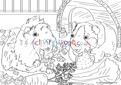 Guinea Pig Scene Colouring Page