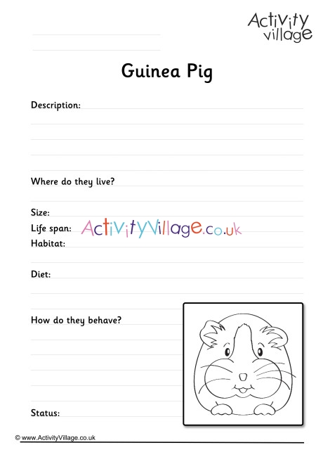 Guinea Pig Worksheet