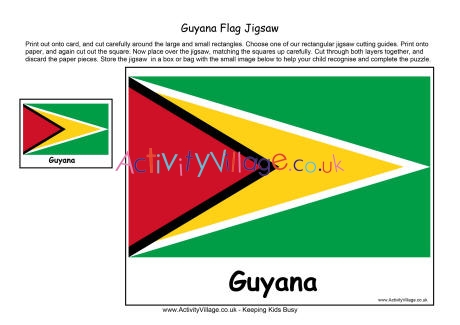 Guyana flag jigsaw