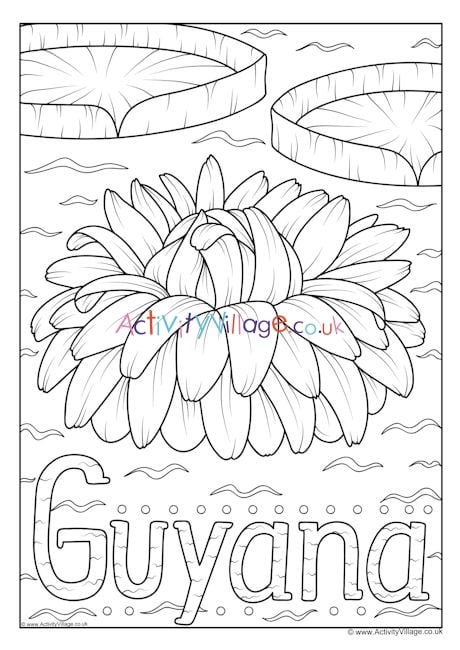 Guyana national flower colouring page