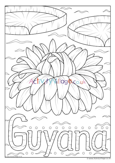 Guyana national flower colouring page