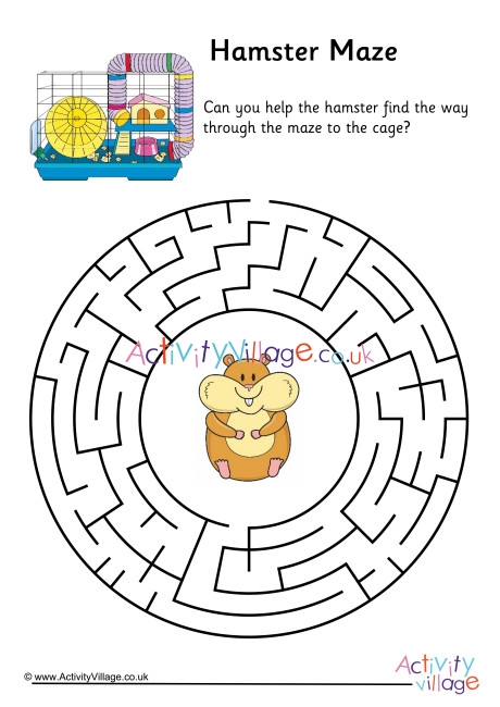 Hamster Maze 2