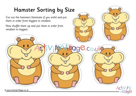 Hamster Size Sorting