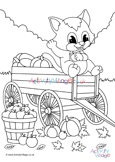 Harvest Cat Colouring Page