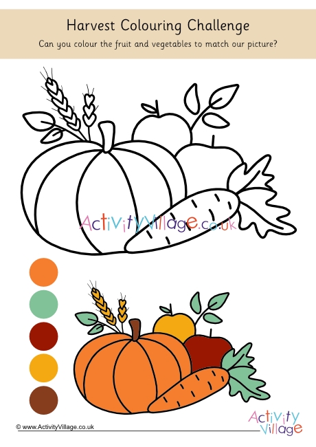 Harvest Colouring Challenge