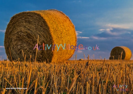 Haybales Poster
