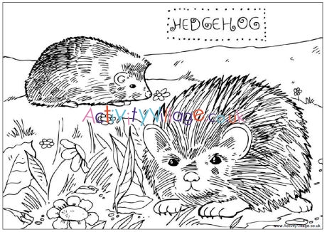 Hedgehog colouring page 2