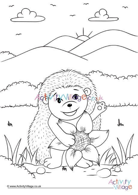 Hedgehog Colouring Page 3