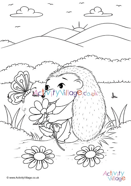 Hedgehog colouring page 5