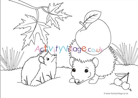 Hedgehogs Scene Colouring Page