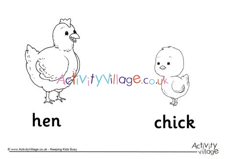 Hen and Chick Colouring Page