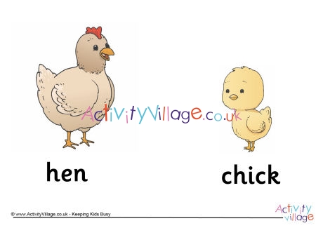 Hen and Chick Poster