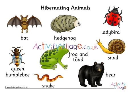 Hibernating Animals Word Mat