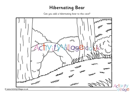 Hibernating bear drawing activity