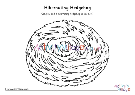 Hibernating hedgehog drawing activity