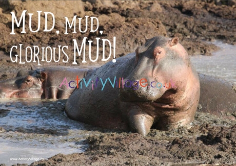 Hippos glorious mud poster