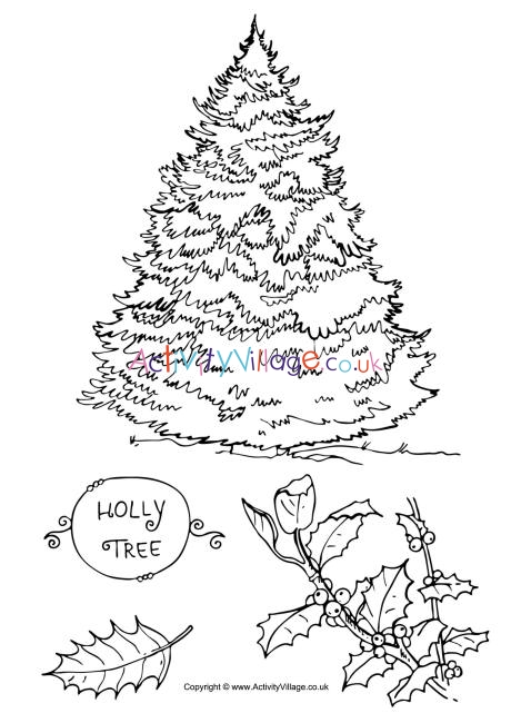 Holly tree colouring page