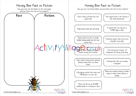 Honey bee fact vs fiction