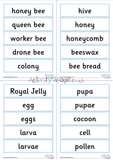 Honey bee word cards