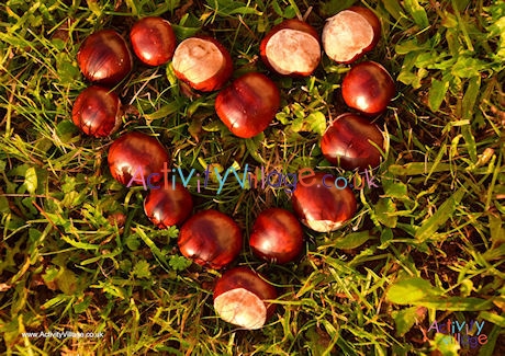 Horse chestnuts poster