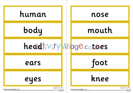 Human Body Word Cards